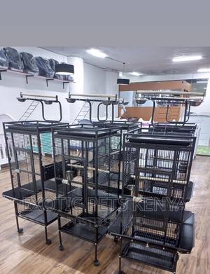 Imported African Grey Cages - thumbnail 2