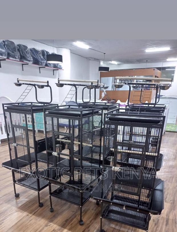 Imported African Grey Cages - main view