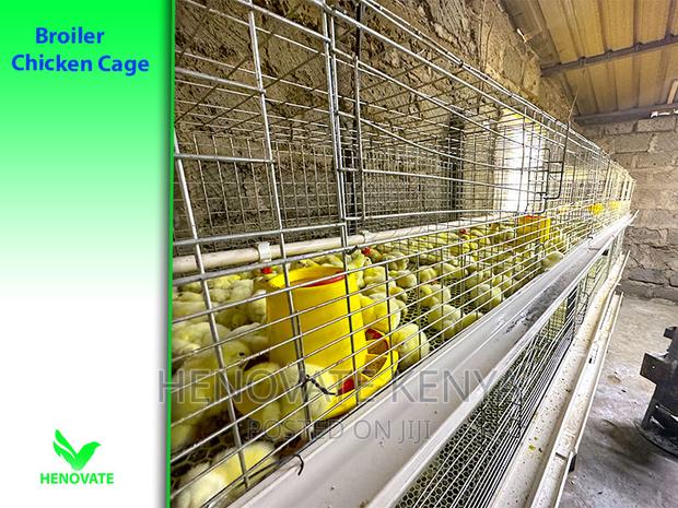 Fabricated Battery Cages for Broilers - main view