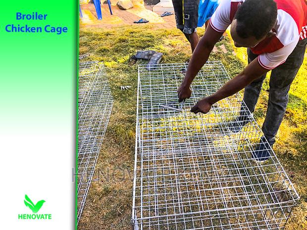 Fabricated Battery Cages for Broilers - thumbnail 4