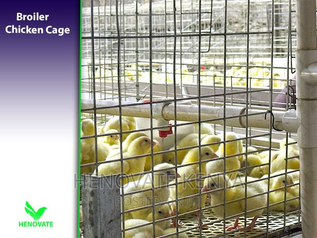 Sturdy Cages to Raise Broilers - thumbnail 2