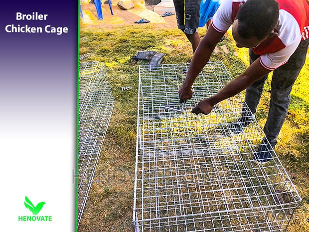 Sturdy Cages to Raise Broilers - thumbnail 3