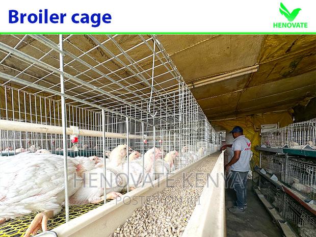 Commercial Broiler Chicken Cage - thumbnail 2