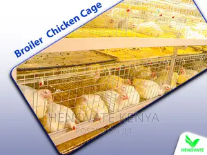 Commercial Broiler Chicken Cage