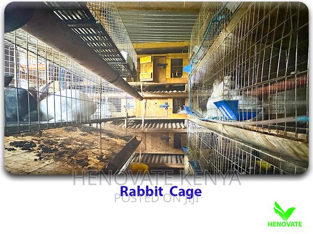 Modern Automated Rabbit Cages - main view