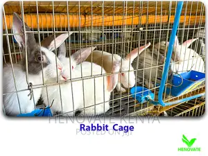 Modern Automated Rabbit Cages