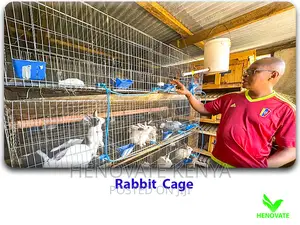 Modern Automated Rabbit Cages