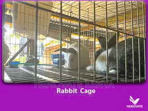 Spacious Rabbit Cages