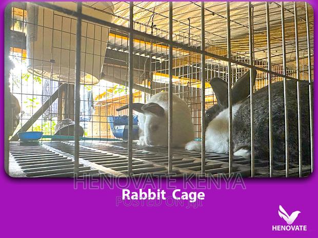 Spacious Rabbit Cages - thumbnail 2