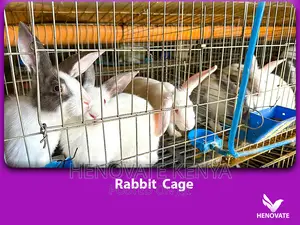 Spacious Rabbit Cages