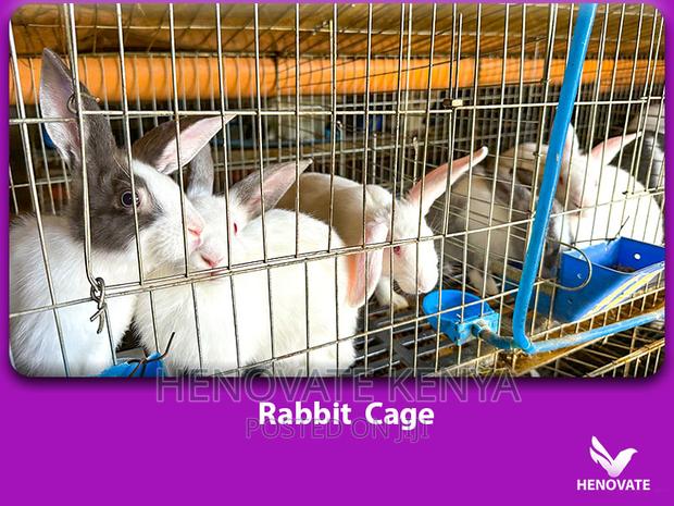 Spacious Rabbit Cages - thumbnail 3