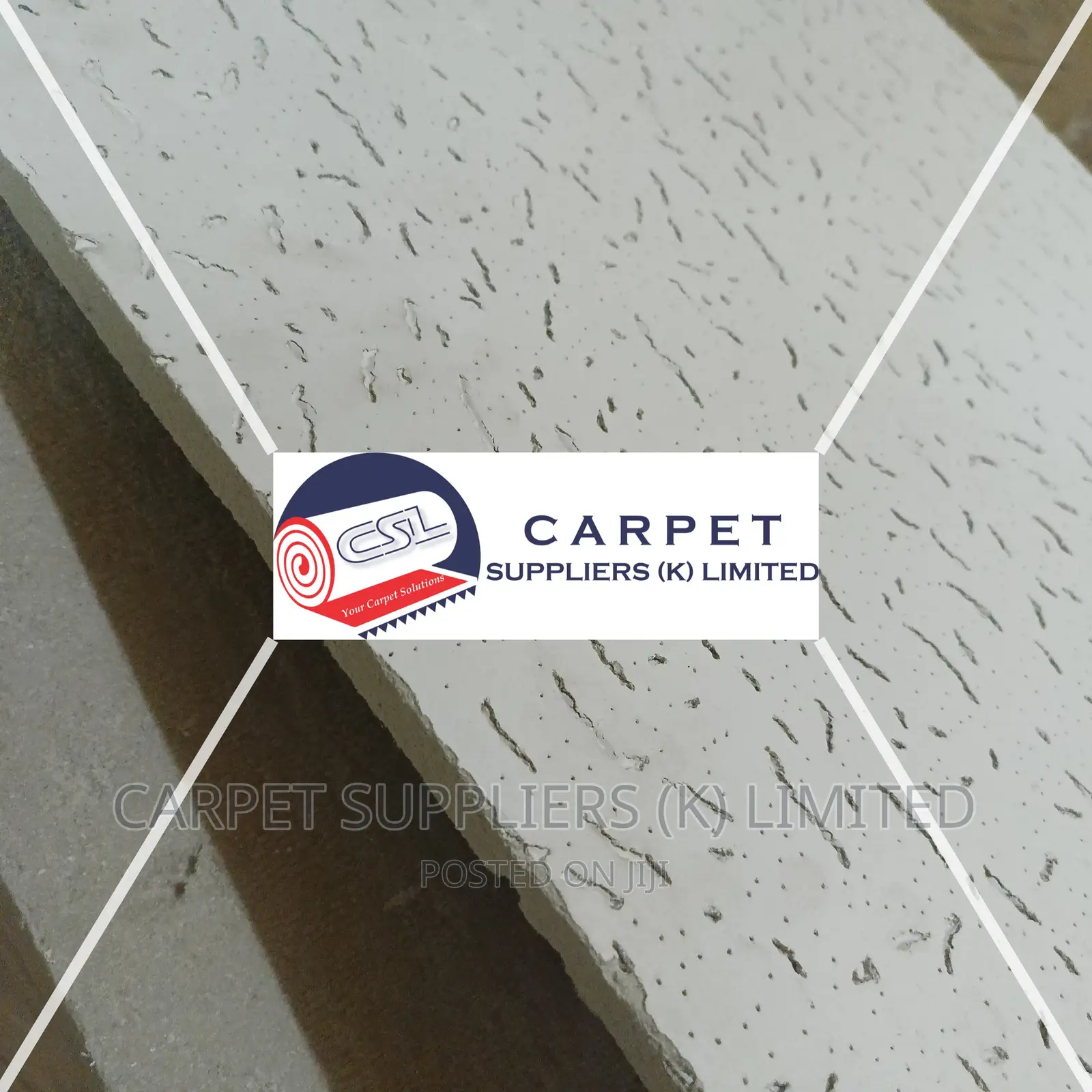 Acoustic Ceiling