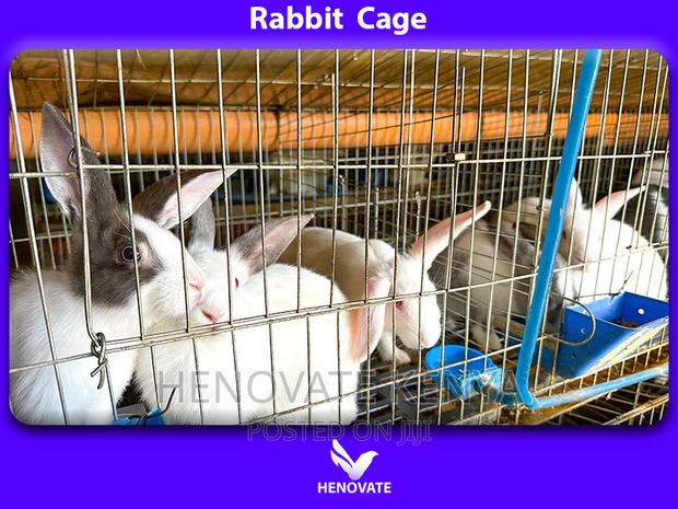 The Best Selling Rabbit Cage - thumbnail 2