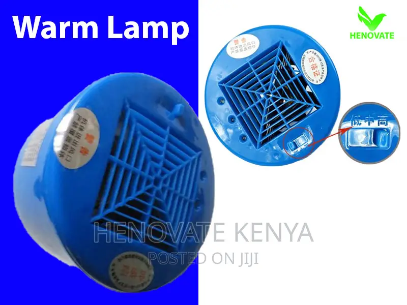 Heat Lamps for Chicks in Kenya/Ruiru
