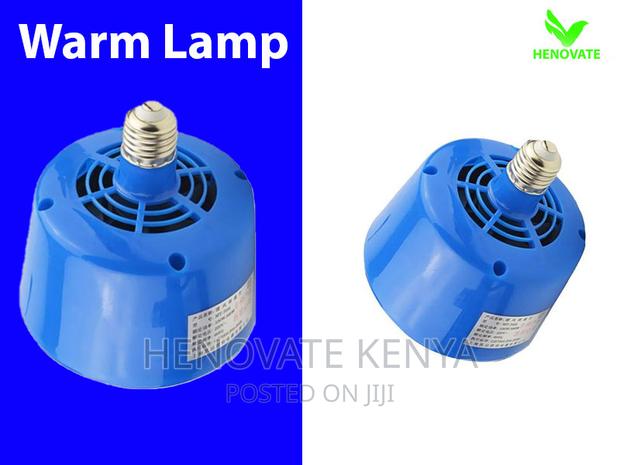 Baby Chicks Warm Lamp - main view