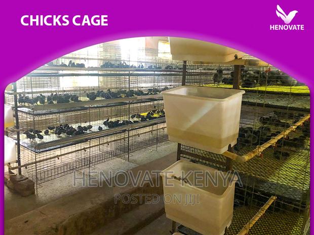 Best Chicks Cage in Kenya - main view