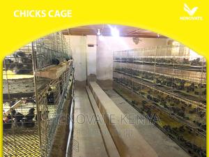 Baby Chick Cage System in Kenya - thumbnail 2