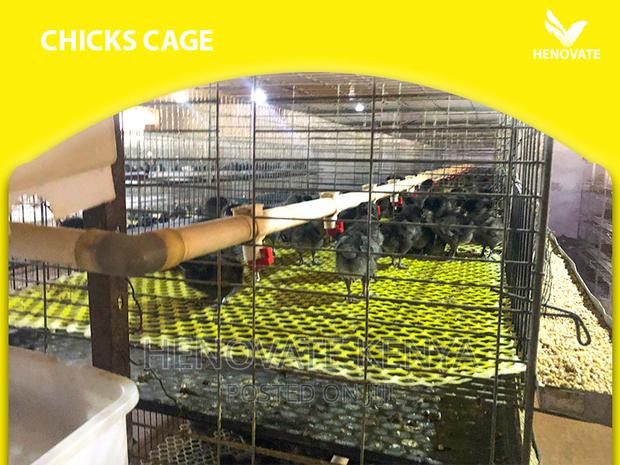 Baby Chick Cage System in Kenya - thumbnail 3