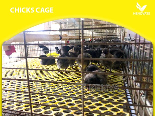Baby Chick Cage System in Kenya - thumbnail 4