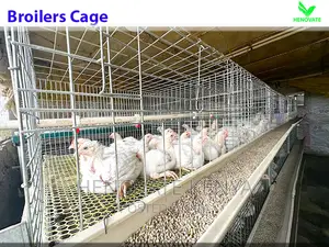 Automatic Broiler Cage