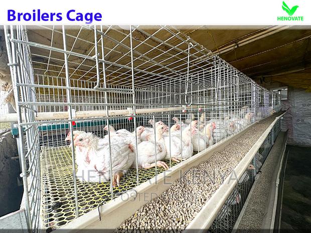 Automatic Broiler Cage - thumbnail 2