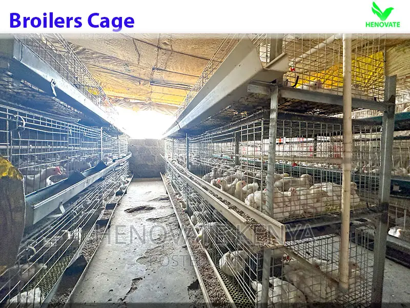 Automatic Broiler Cage