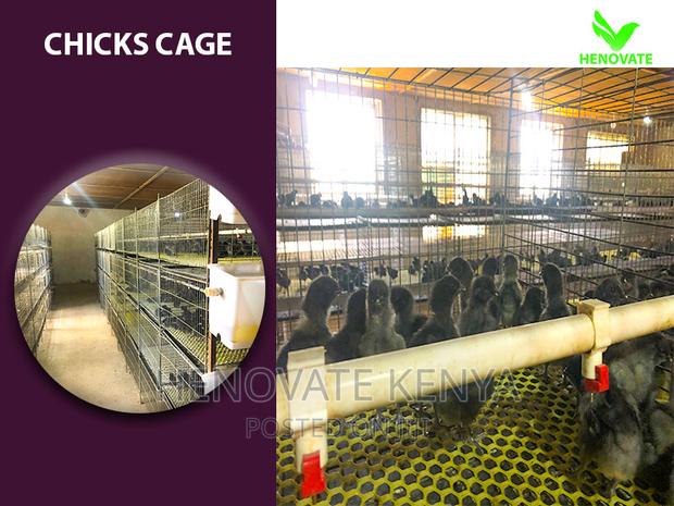 Chicks Cage For 1 Day - thumbnail 2