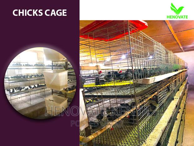 Chicks Cage For 1 Day - thumbnail 3