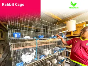 Best Indoor Rabbit Cages of 2024 (Available)