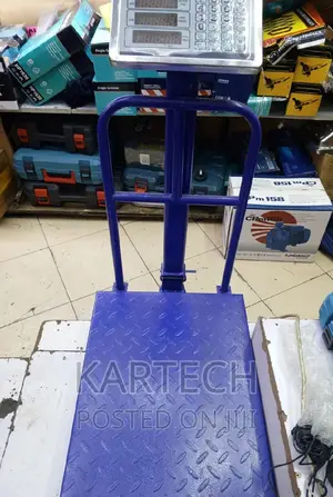300kg Heavy Duty Industrial Platform Weighing Scale