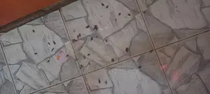 Fumigation and Pest Cnttoll