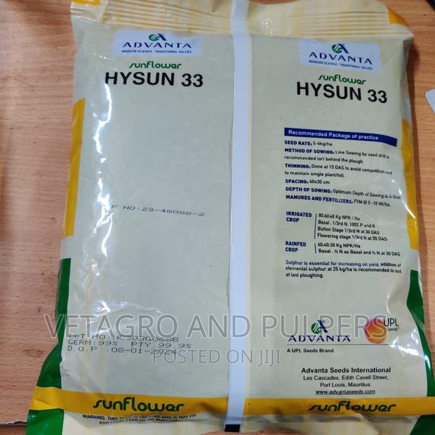 Sunflower Hysun 33 Seeds - thumbnail 2