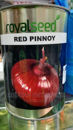Red Pinnoy Hybrid Onion 250gms - thumbnail 2