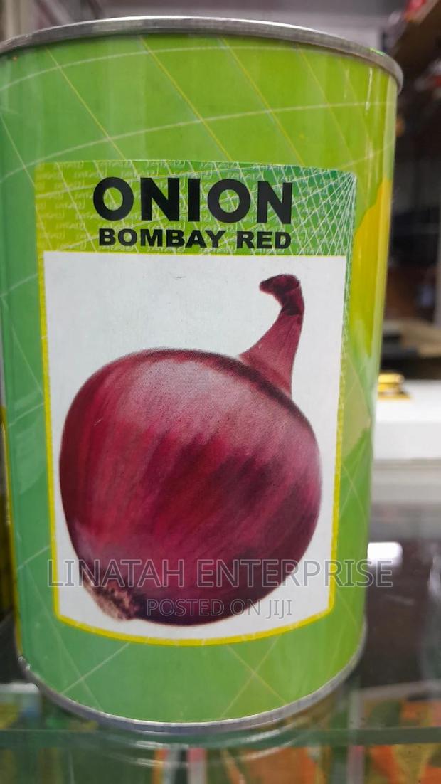 Bombay Red 0nion 500gms - main view