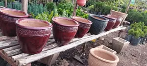 Clay Flower Pots, Hibiscus Flower Pots