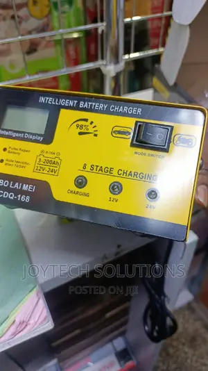 Original Hot  Selling BLM Battery Charger 12-24v