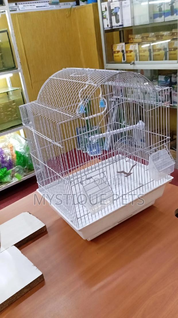 Budgise Birds Cage - main view