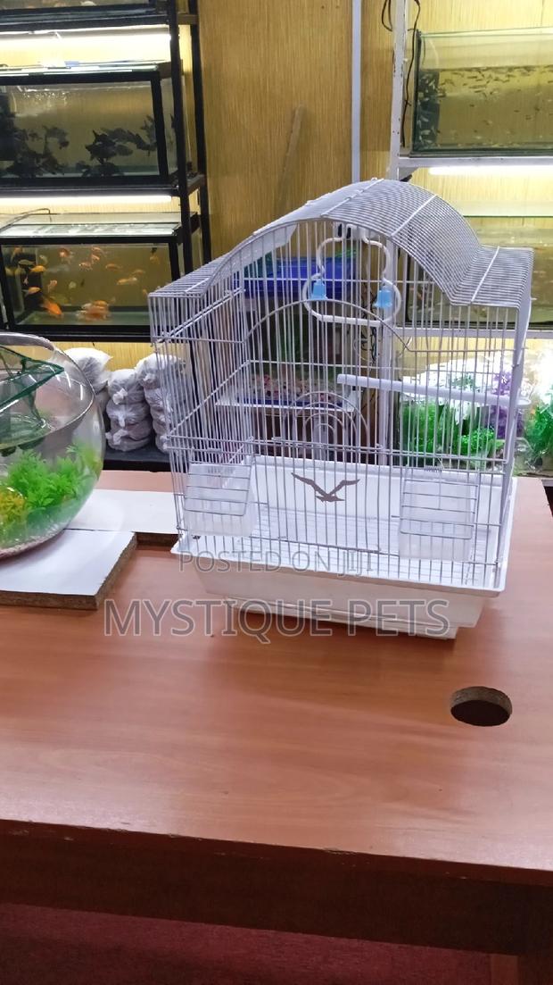 Budgise Birds Cage - thumbnail 3