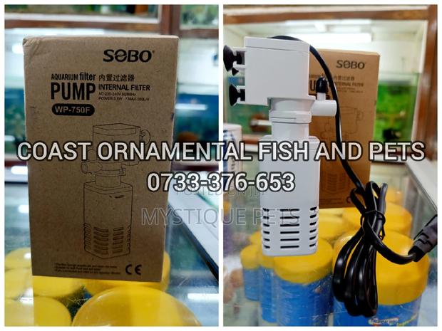 Budgise Birds Cage - thumbnail 4