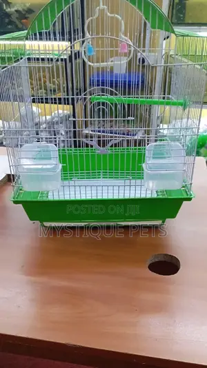 Budgise Birds Cage