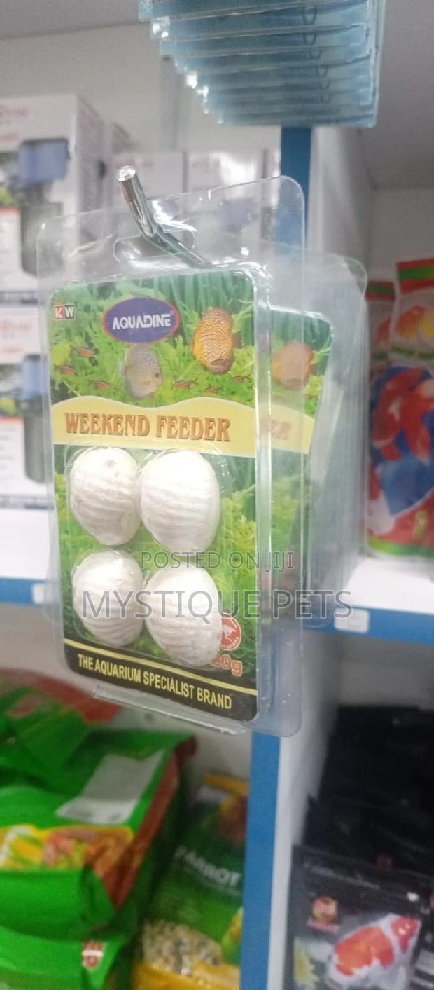 Vacation Feeder - main view