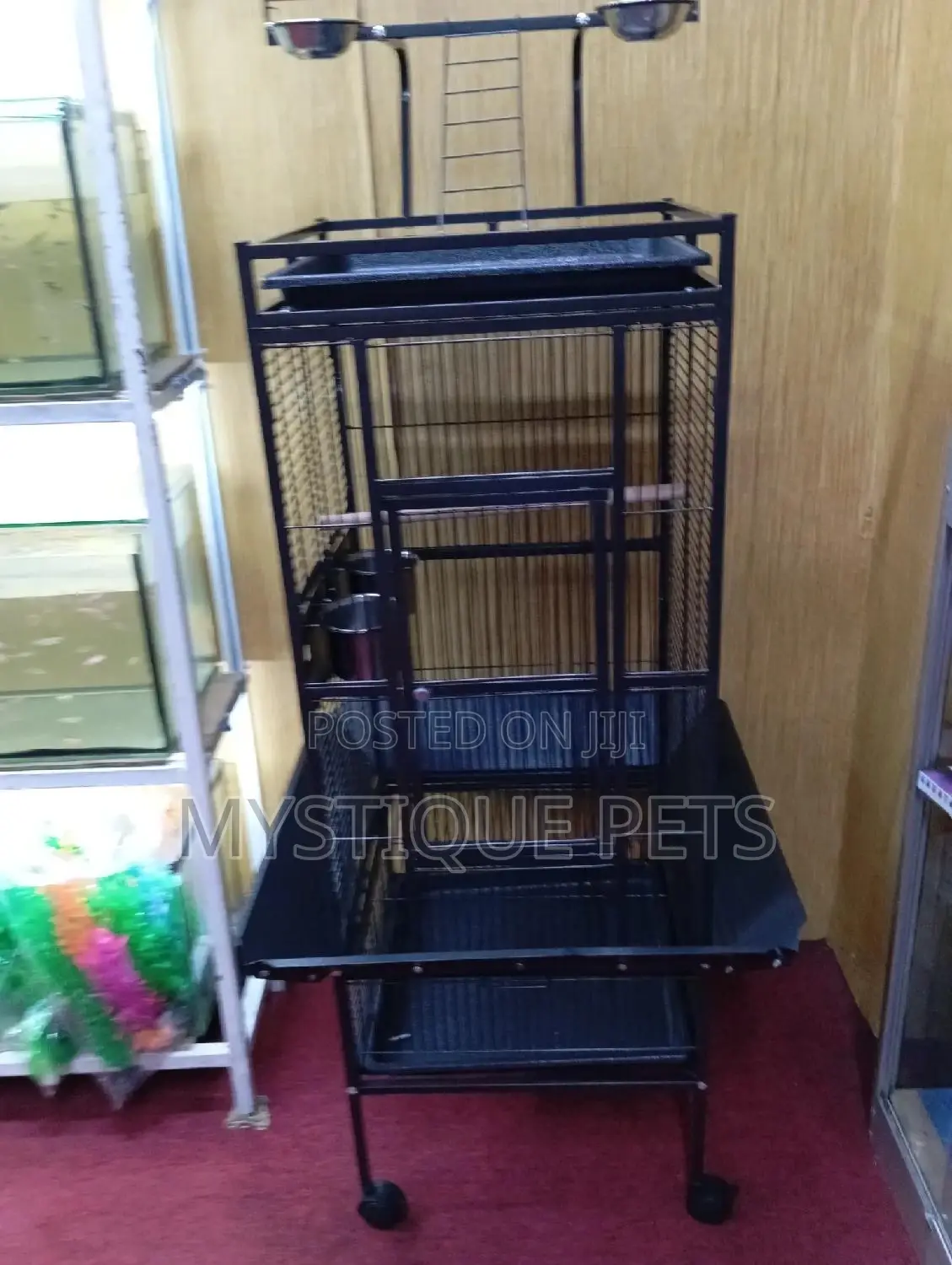 Parrot Cage