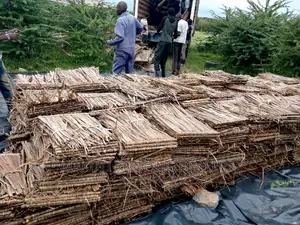 Makuti Medium Size For Sale
