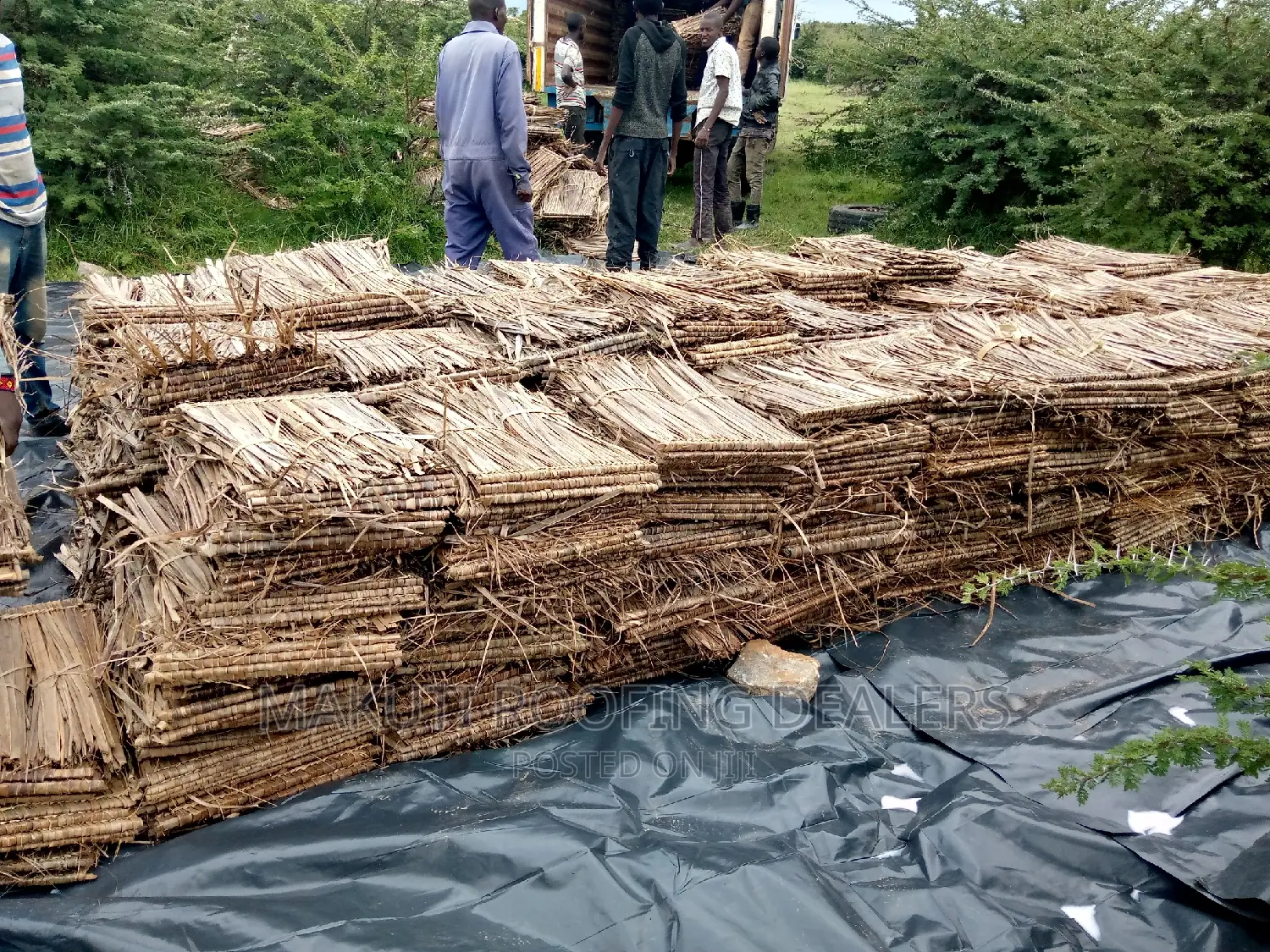 Makuti Medium Size For Sale