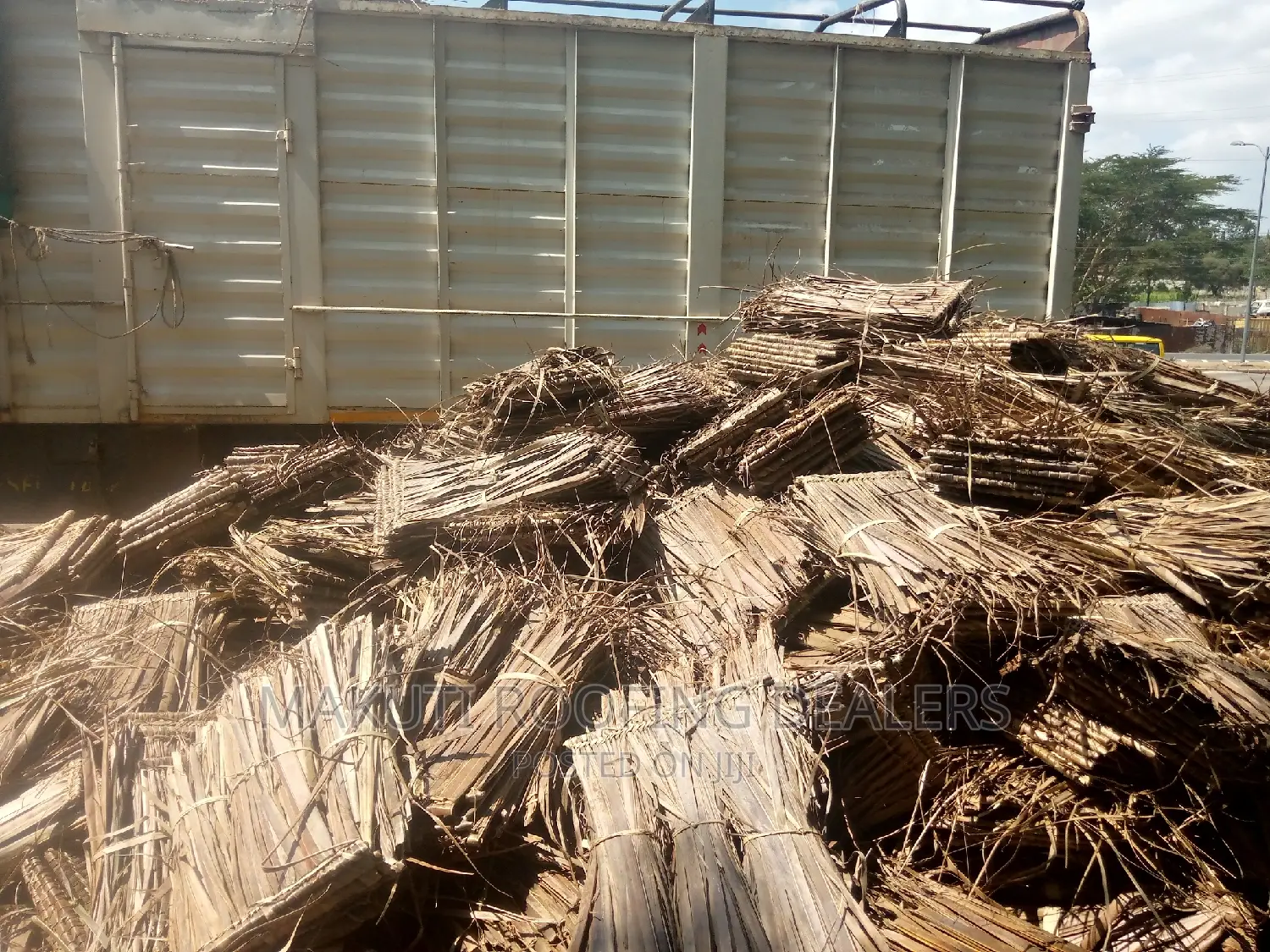 Makuti Medium Size For Sale