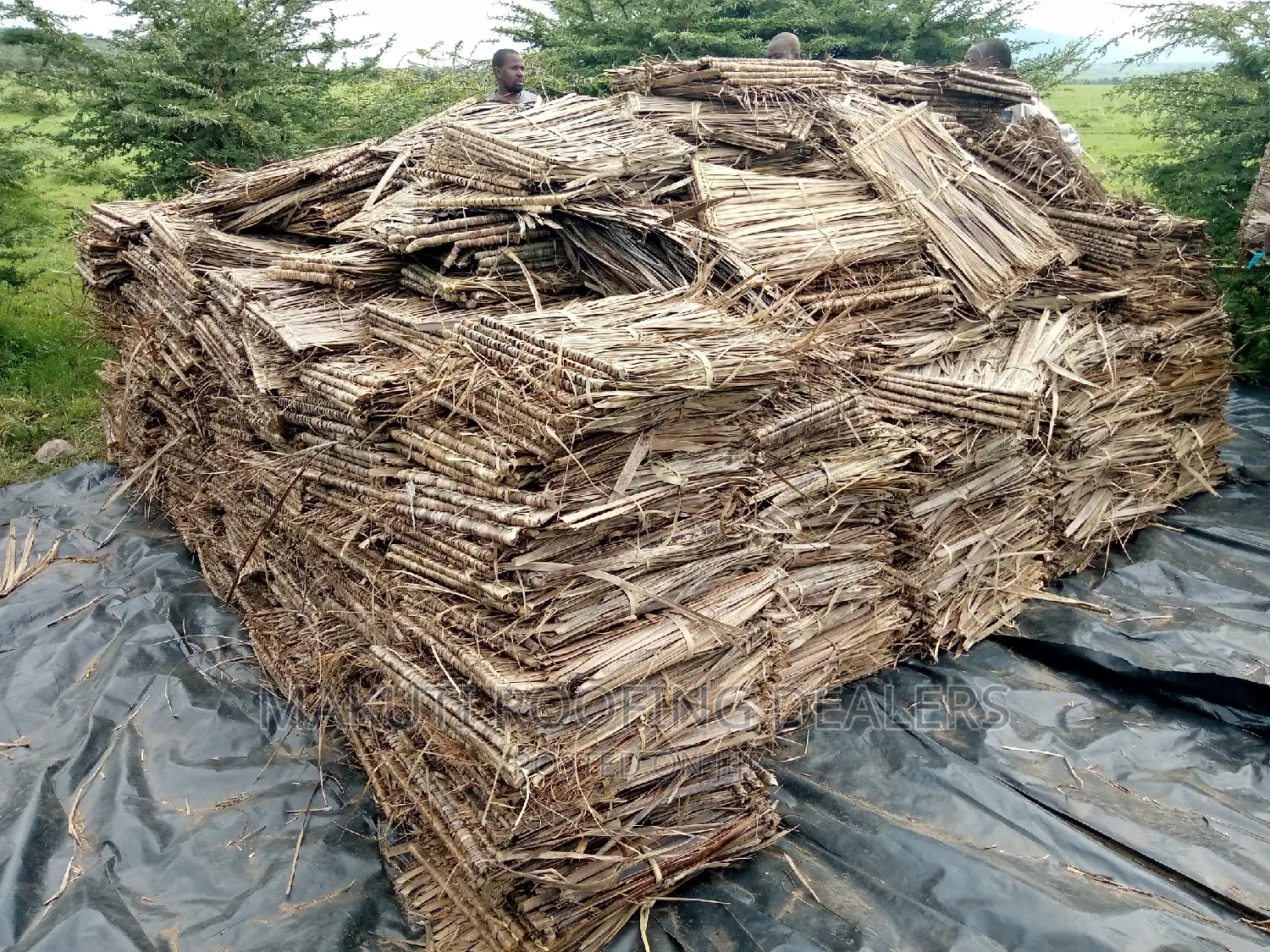 Makuti Suppliers Mombasa