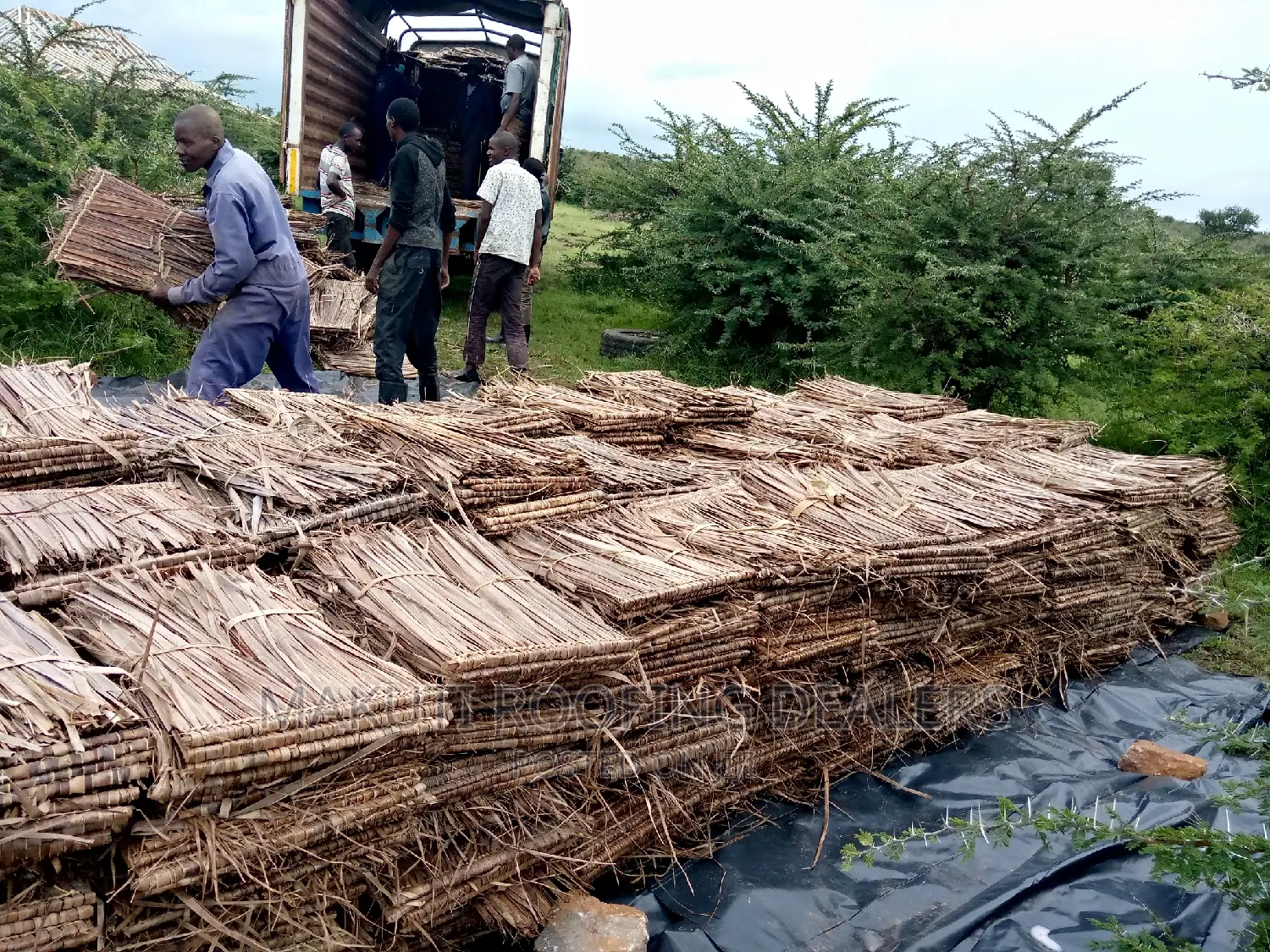 Makuti Suppliers Mombasa