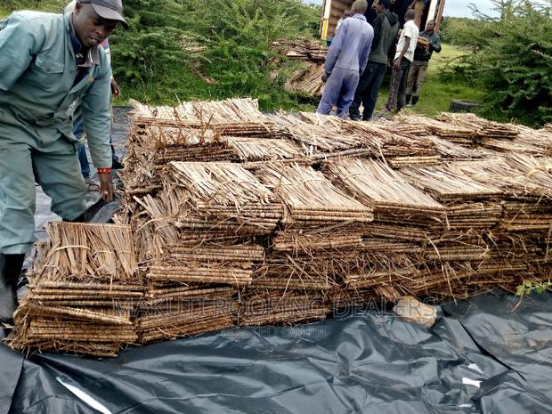 Makuti Suppliers Mombasa - main view