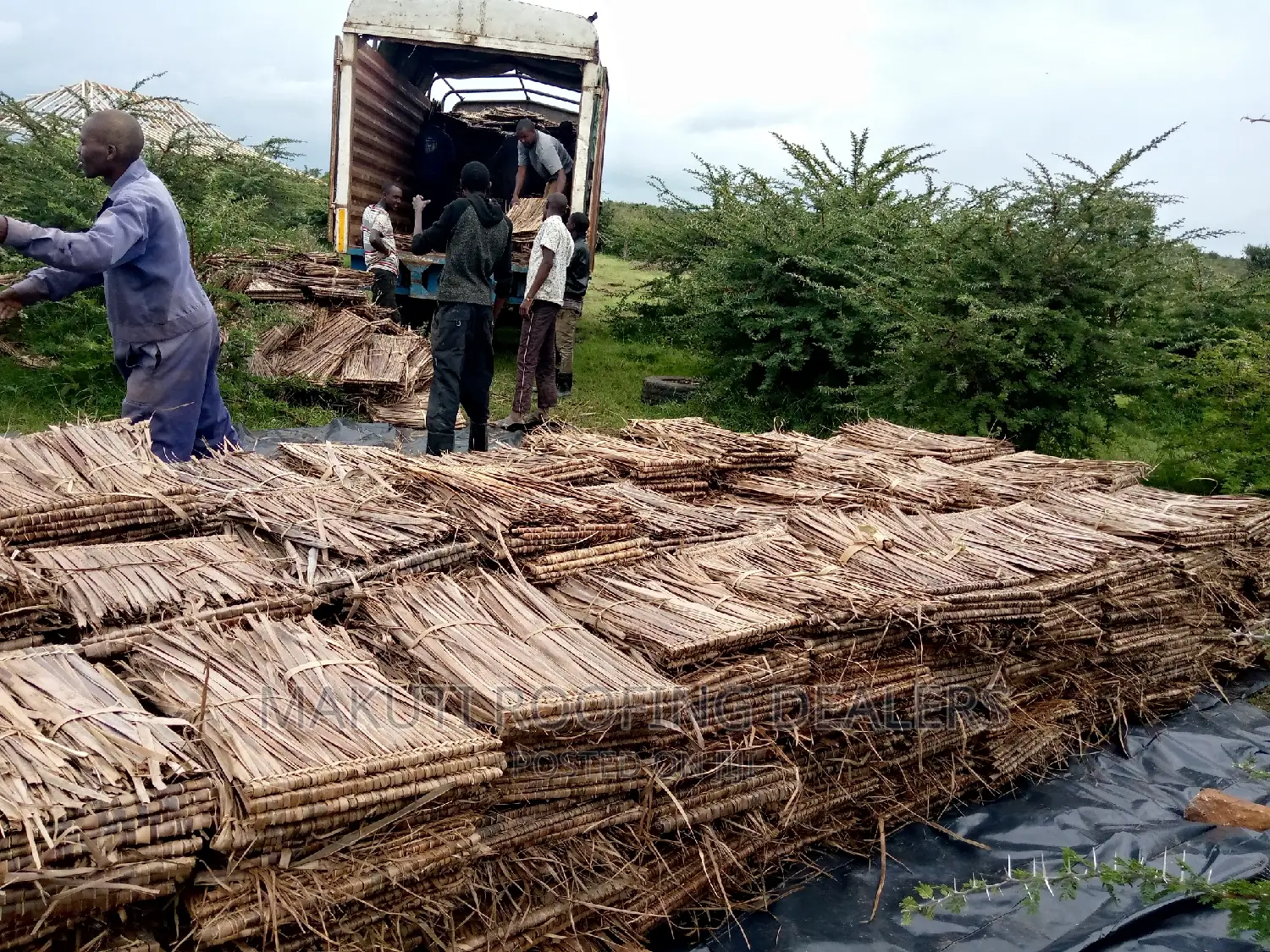 Makuti Suppliers Mombasa