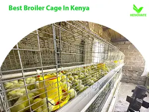 Special Broiler Cages(3tiers) in Kenya Ruiru Saves Spaces